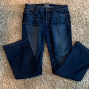 Stylus Blue Jeans NWOT